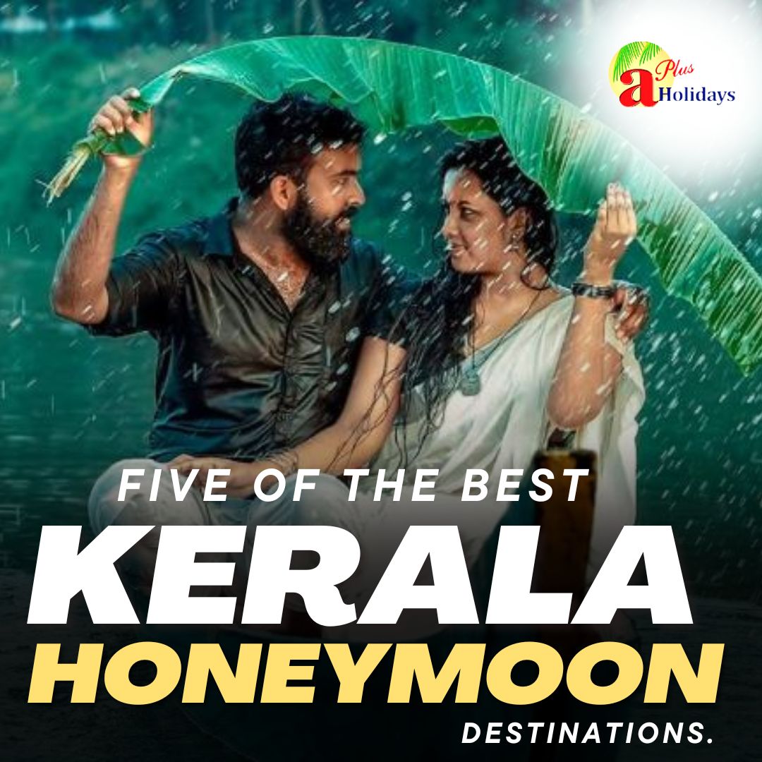 five of the best Kerala honeymoon destinations